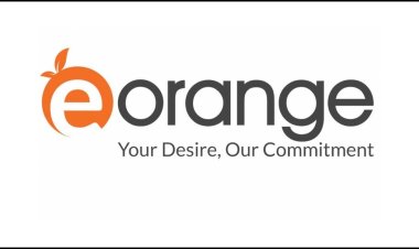 ই-অরেঞ্জের গ্রাহকদের পাচার হওয়া অর্থ ফেরত আনতে নির্দেশ