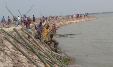 নেত্রকোনায় ফসল রক্ষা বাঁধে ফাটল, স্বেচ্ছায় কাজ করছেন কৃষকরা