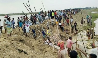 বাঁধ ভাঙনে ইঁদুরকে দুষলেন পাউবো কর্মকর্তা
