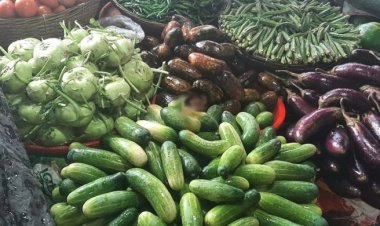 বেগুন, শসা, মাছ, মাংসের দাম চড়া