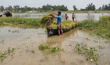 থামছে না হাওরের কান্না