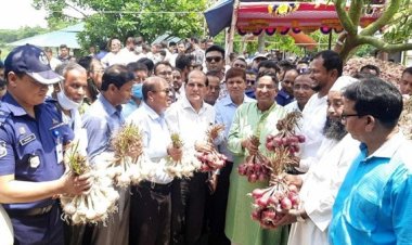 দেশে দুর্ভিক্ষ নেই, দর কিছুটা বেশি: কৃষিমন্ত্রী