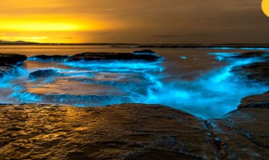 এ নাকি ‘যৌবনের হ্রদ’! রাত নামলেই জ্বলে ওঠে নীল আলো