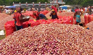 পেঁয়াজের কেজি ৮ টাকা, বিক্রি না করে ফেরত নিয়ে যাচ্ছেন কৃষক