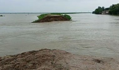 বাঁধ ভেঙে হাওরে ঢুকছে পানি, ৩০০ হেক্টর জমির ধান তলিয়ে যাওয়ার শঙ্কা