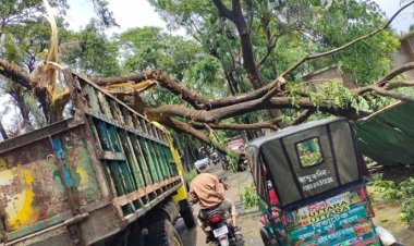 কালবৈশাখী ঝড়ে প্রাণ গেল ৭ জনের