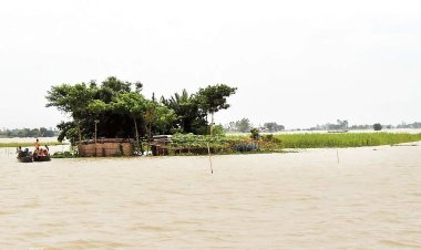 আগাম বন্যায় হাওরে পরিস্থিতির অবনতি