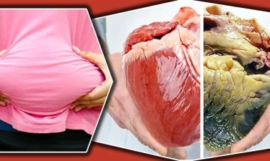 লিভার পরিষ্কার করে যে খাবার