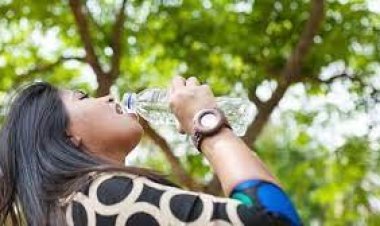 গরমে সুস্থ থাকতে যেসব পুষ্টিকর খাবার খাবেন