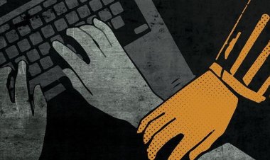 ২৬ মাসে ডিজিটাল নিরাপত্তা আইনে অভিযুক্ত ২২৪৪ জন