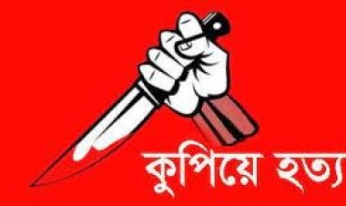  ঘরের চালের পানি পড়া নিয়ে ঝগড়া, চাচাকে কুপিয়ে হত্যা