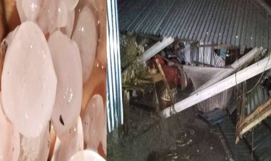 রংপুরের কয়েকটি উপজেলায় কালবৈশাখীর তাণ্ডব