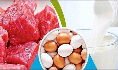 সহজে মেলে না সুলভ মূল্যের দুধ, ডিম, মাংস