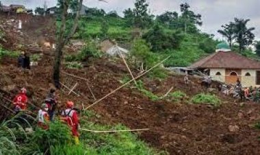 ইন্দোনেশিয়ায় সোনার খনিতে ভূমিধসে ১২ নারী শ্রমিক নিহত