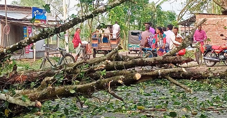 ঠাকুরগাঁওয়ে শিলাবৃষ্টিতে ফসলের ব্যাপক ক্ষতি, নারী আহত