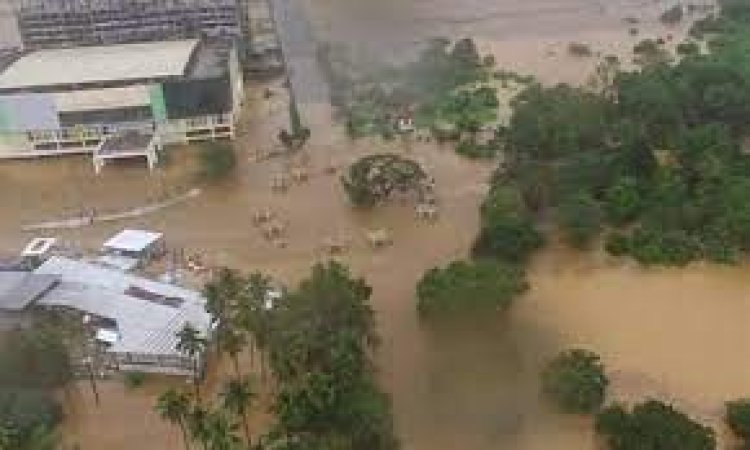 ফিলিপাইনে বন্যা-ভূমিধসে মৃত্যু বেড়ে ১৬৭