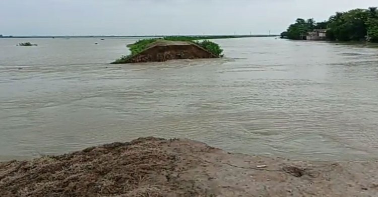 বাঁধ ভেঙে হাওরে ঢুকছে পানি, ৩০০ হেক্টর জমির ধান তলিয়ে যাওয়ার শঙ্কা