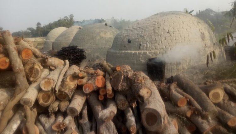 পাহাড়ে ১৩০ চুল্লিতে গাছ পুড়িয়ে কয়লা তৈরি, হুমকিতে পরিবেশ