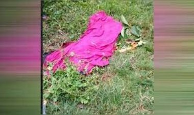 মায়ের হাত থেকে শিশুকে কেড়ে নিল ঘাতক বাস