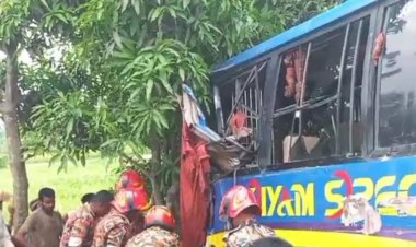 নাটোরে দুই বাসের সংঘর্ষে ভাই-বোনসহ  নিহত ৭