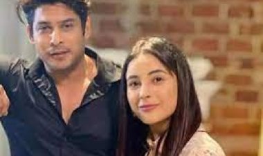  সালমান-শেহনাজকে কটাক্ষের জবাব সেই সিদ্ধার্থের টুইটে