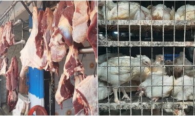 ঈদ শেষেও কমেনি মুরগি-গরুর মাংসের দাম