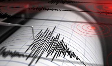  আর্জেন্টিনায় ৬.৮ মাত্রার শক্তিশালী ভূমিকম্প