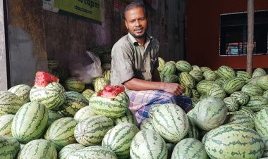 তরমুজের কেজি ১০ টাকা, তবুও ক্রেতা নেই