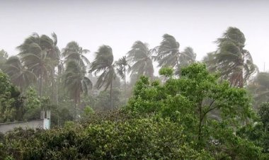 সপ্তাহজুড়েই গরম ও বৃষ্টি থাকবে