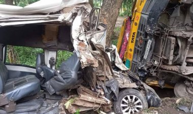 নাটোরে ট্রাক-মাইক্রোবাস সংঘর্ষে প্রাণ গেল ২ জনের