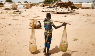 বৈশ্বিক খাদ্য সংকট নিয়ে জাতিসংঘের সতর্কতা