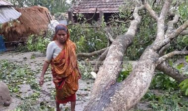 নীলফামারীতে ঝড়ে ক্ষতিগ্রস্ত শতাধিক ঘরবাড়ি