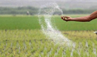 বেসরকারিভাবে আমদানি হচ্ছে ১০ লাখ টন নন-ইউরিয়া সার