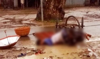 চলন্ত ভ্যানে বিদ্যুতের তার পড়ে চালকসহ প্রাণ গেলো দুজনের