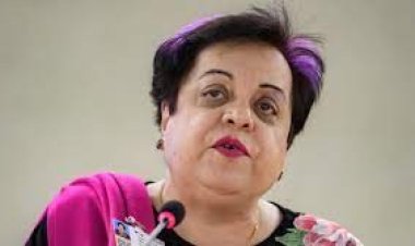  ১০ ঘণ্টা পর মুক্তি পেলেন পিটিআই নেতা শিরিন মাজারি