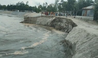 যমুনার ভাঙনে দিশেহারা মানুষ