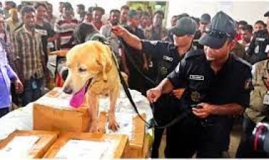 স্ক্যানিংয়ে ধরা পড়ে না অনেক মাদক, বিমানবন্দরে বসছে ডগ স্কোয়াড