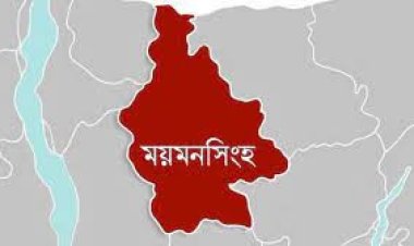 বিয়ে নিয়ে দ্বন্দ্ব, ছেলের মা ও মামার হাতে প্রাণ গেল শ্বশুরের