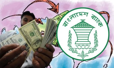 কাগজপত্র ছাড়াই পাঠানো যাবে রেমিট্যান্স, মিলবে ২.৫ শতাংশ প্রণোদনা