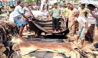 কোরবানির চামড়ার ভালো ব্যবসার আশা, আছে শঙ্কাও
