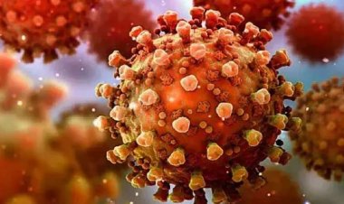 ভারতে একদিনে ২৭ শতাংশ বাড়ল করোনা সংক্রমণ, প্রাণ হারালেন ১৭ জন