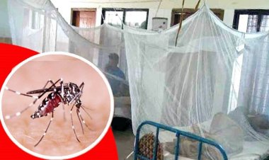 হাসপাতালে ভর্তি ডেঙ্গু আক্রান্ত ৩৮ রোগী