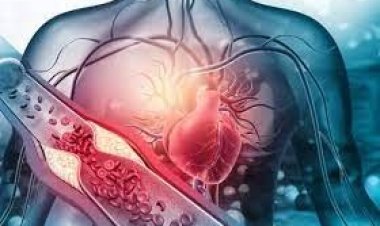 যে খাবার খেলে রক্ত হবে পরিষ্কার