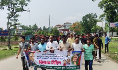 ঢাবিতে ছাত্রদলের ওপর ছাত্রলীগের হামলার প্রতিবাদে বাকৃবিতে ছাত্রদলের বিক্ষোভ