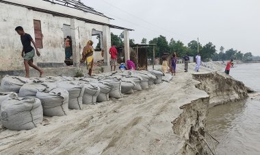 সিরাজগঞ্জে যমুনার পানি কমলেও বেড়েছে ভাঙন