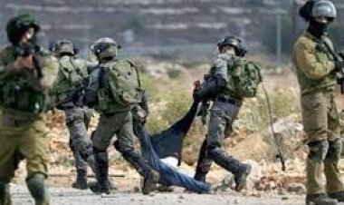  ফিলিস্তিনি কিশোরকে গুলি করে মারল ইসরায়েল