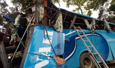 গাছের সঙ্গে বাসের ধাক্কা নিহত ১০, আহত ২০
