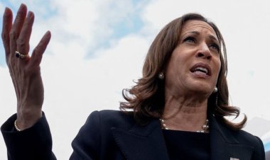 যুক্তরাষ্ট্রে আগ্নেয়াস্ত্র নিষিদ্ধের আহ্বান কমলা হ্যারিসের