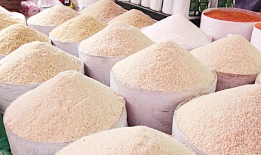 ধান-চালের অবৈধ মজুতের বিরুদ্ধে মাঠে নামছে ৮ টিম