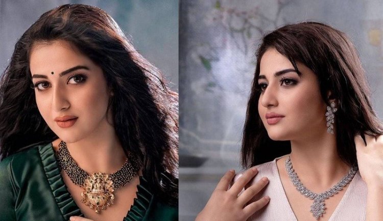 কেরালার জনপ্রিয় মডেল ও অভিনেত্রীর ঝুলন্ত মরদেহ উদ্ধার